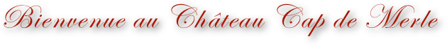 Bienvenue au Château Cap de Merle