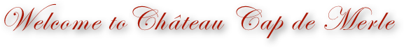 Welcome toChâteau Cap de Merle